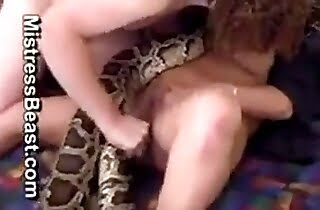 freaks enjoying zoophilia,reptile