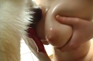 animal sex videos,sex with animals