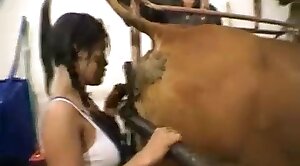 free zoo porn,animal sex videos