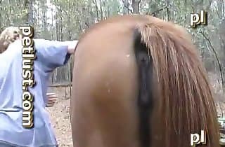 horse sex,sex with animals