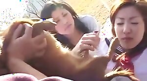 free zoo porn,asian zoo porn
