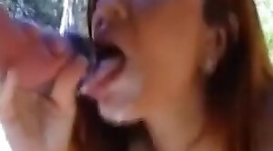 high-quality,animal porn videos