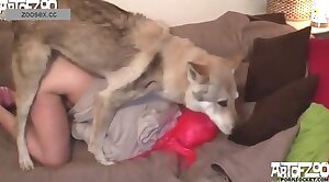 free zoo porn,sex with animals