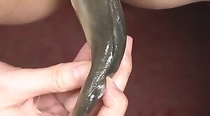 animal sex videos,animal fuck porn