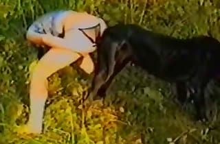 male bestiality,animal sex videos