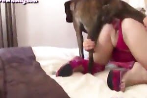 girl with animal sex,zoo sex