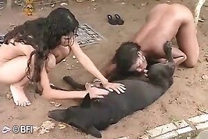 girl with animal sex,beastiality porn