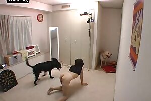 bitch,animal fucks