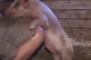 anal,fuck