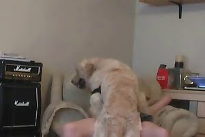 zoophilic girls,dog sex