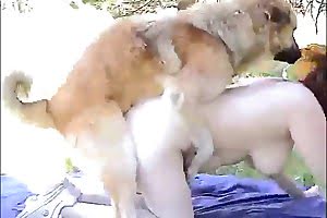 redhead,fuck