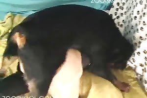 dog sex,hardcore bestiality