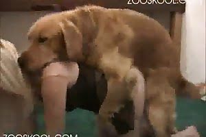 bestiality,zoo sex tube