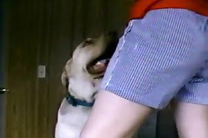 cute,bestiality