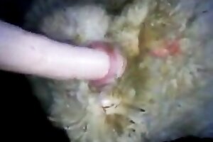 beastiality orgasms,beastiality sex