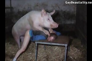 beastiality orgasms,hd zoo porn