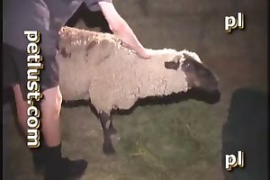 videos zoophilia,fuck