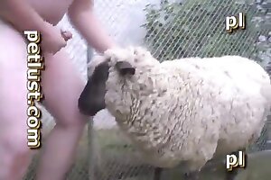 animal porno,bestiality