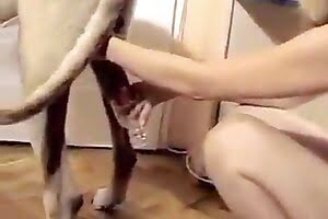 cum,dog porn