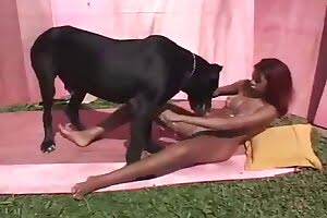 dog sex,blowjob