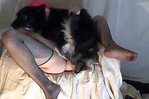 fuck,dog sex