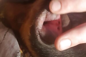 hardcore bestiality,closeup zoo porn