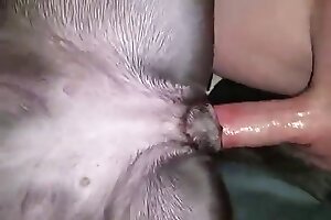 banging,hardcore bestiality