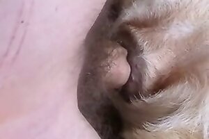 zoo sex tube,closeup zoo porn
