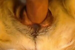 zoo sex tube,closeup zoo porn