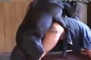 videos zoophilia,zoofilia porn