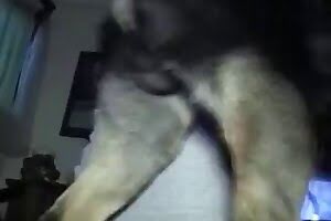 bestiality,dog sex
