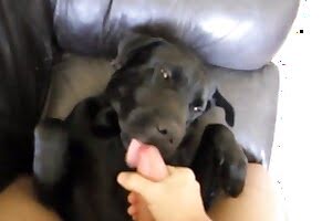 xxx zoo sex,hardcore bestiality
