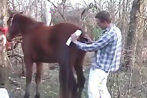 horny,guy