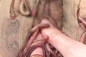 bestiality,video: