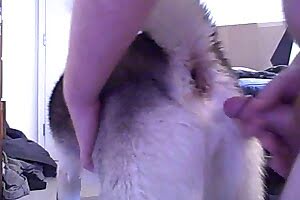 zoophilic girls,fuck