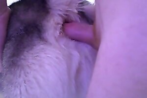 hardcore bestiality,closeup zoo porn