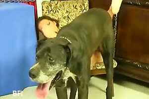 cute,xxx zoo sex
