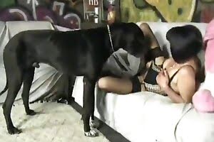 dog sex,blowjob