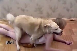 hardcore bestiality,dog porn