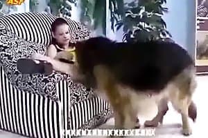 animal sex stories