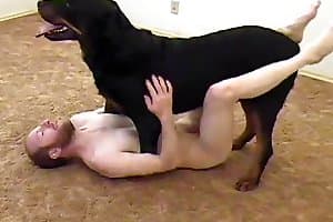anal