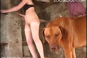 sex play with dogs->