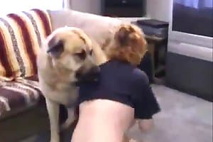 pet sex