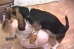 bestiality