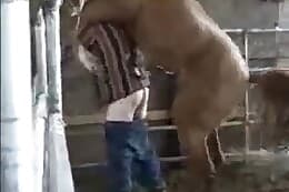 fuck
