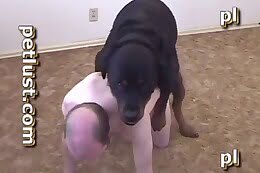 hd bestiality porn