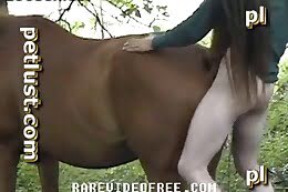 pet sex