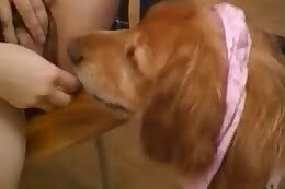 free animal porn