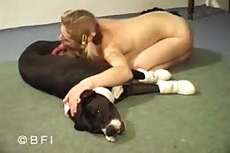 animal sex clips