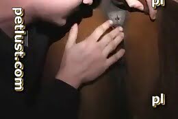 free animal porn